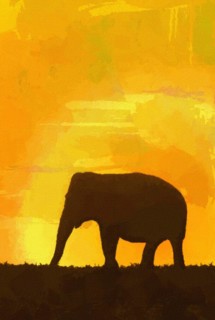 Elephant background template