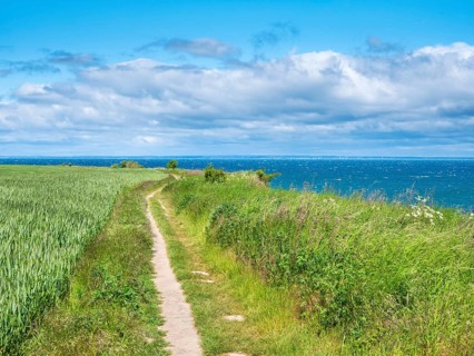 Hiking trail on the stormy Baltic Sea with foam crowns, Boltenhagen, Mecklenburg-Western Pomerania,
