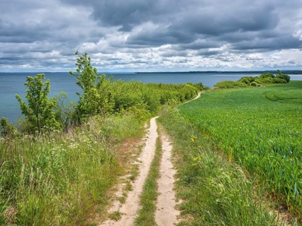 Hiking trail on the high shore of the Baltic Sea on the cliffs of Boltenhagen, Mecklenburg-Western
