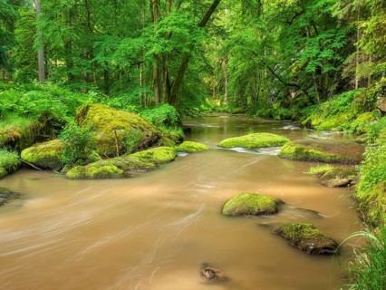 Moss-covered rocks in the Waldnaab river in the Waldnaabtal nature reserve, Falkenberg an der