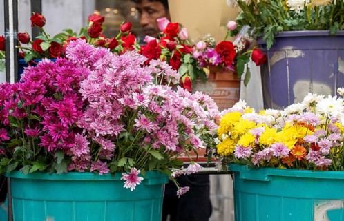 Buckets of assorted flowers, including chrysanthemums and roses, displayed at a flower shop on