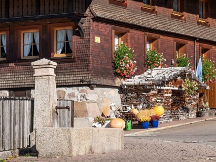 Typical Black Forest house, fountain, window with flowers and firewood in front of the shingle