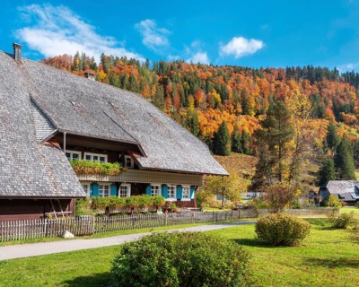Typical Black Forest house in autumn, balconies with flowers, colorful forest in the back,