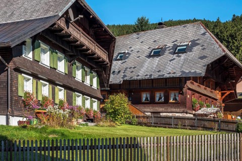 Typical Black Forest houses, windows with flowers, Menzenschwand, Black Forest, Baden-Württemberg,