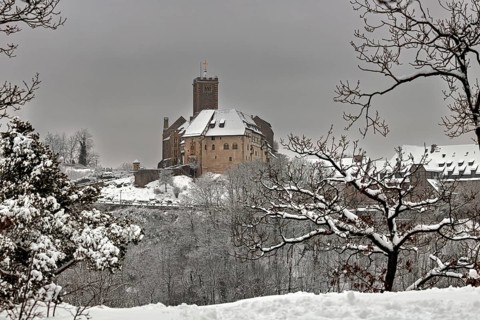 Snowy castle with bare trees in the foreground, wintry atmosphere, The Wartburg near Eisenach in