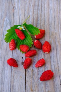 Walderdbeeren, Fruits, Food, Upper Bavaria, Bavaria, Germany