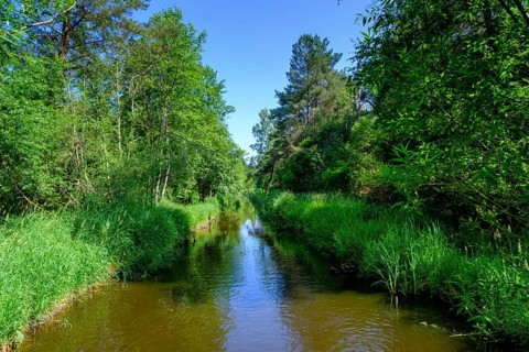 Zillhamer Achen, Moorlehrpfad Freimoos, bei Amerang, Chiemgau, Upper Bavaria, Bavaria, Germany
