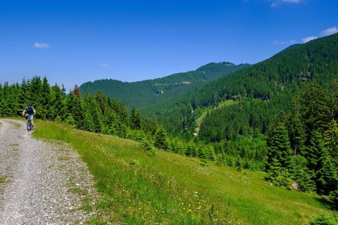 On the Stubental Alpe, under the Pfeiferberg, near Jungholz, Oberallgäu, Allgäu, Tyrol, Austria