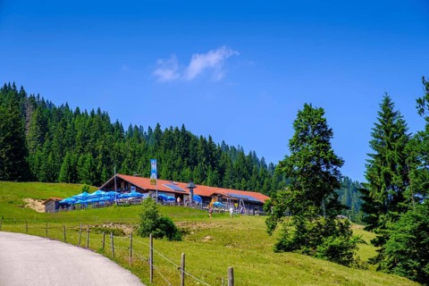 Stubental Alpe, near Jungholz, Oberallgäu, Tyrol, Austria