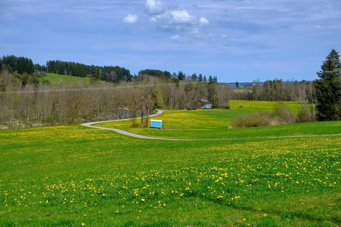 Eschenau, bei Schwenden, Ostallgäu, Swabia, Bavaria, Germany