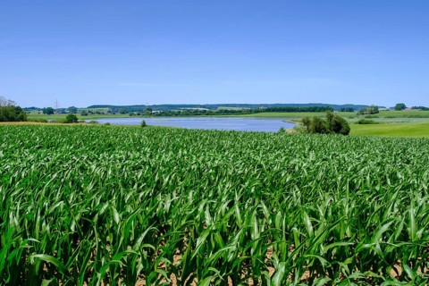 Rohrsee near Rohrbach, Upper Swabia, Swabia, Baden-Württemberg, Germany
