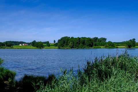 Obersee bei Kißlegg, Upper Swabia, Swabia, Baden-Württemberg, Germany