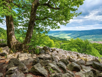 Blockheap on the Schafstein, former rock glacier, view over the Rhön countryside, Hessian Rhön,