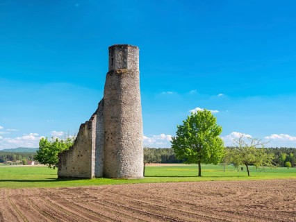 The ruins of the Circle Chapel, also Circle Chapel, church ruins near Dentlein am Forst, Middle