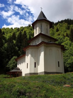 Sfantul Ilie Paltinul Monastery, Holy Prophet Elias Paltinul Monastery, Manastirea Sfântul Prooroc