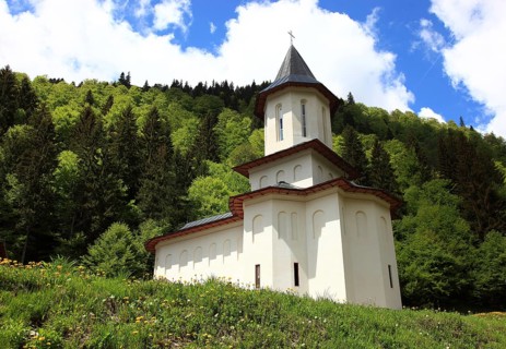 Sfantul Ilie Paltinul Monastery, Holy Prophet Elias Paltinul Monastery, Manastirea Sfântul Prooroc