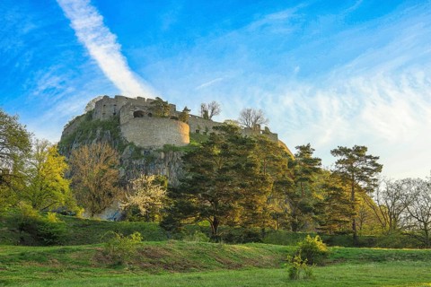 Hohentwiel Castle Ruins Surrounded by Green Trees and Meadow with Clear Blue Sky, Volcanic