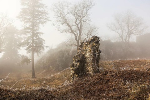 Fog-shrouded ruins in a wintry landscape with bare trees, Mägdeberg castle ruins, volcanic