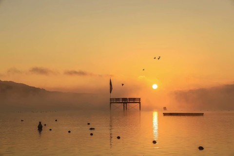 Überlinger See at sunrise with a jetty and flying birds in fog, Lake Constance,
