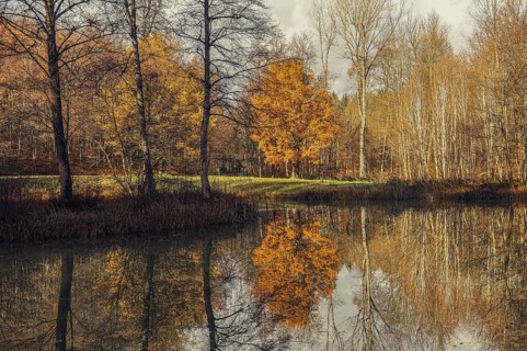 Quiet autumn landscape with trees and their reflection in the lake, Hofgut Dauenberg,