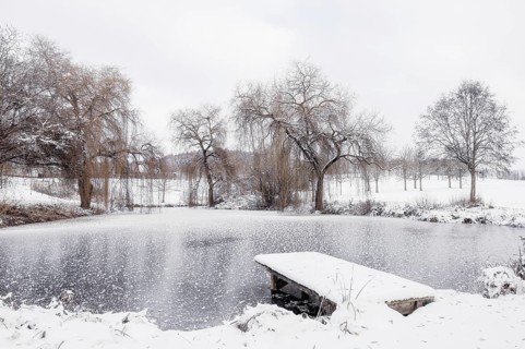 Frozen lake with a small jetty and snow-covered trees in a quiet winter landscape, Hofgut