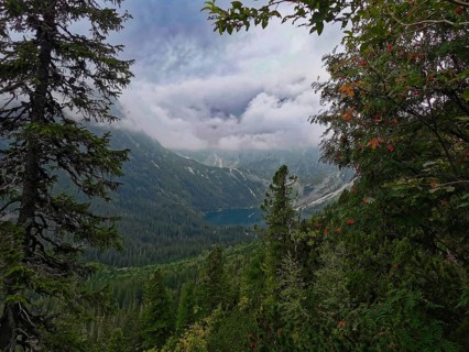 View through trees on a hidden lake, Morskie Oko surrounded by mountain scenery and dense forest,