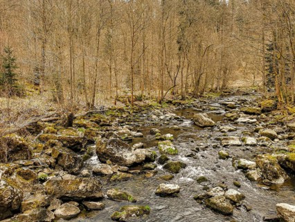 A small river, Selbitz flows through an autumn forest over stones and moss, Höllental, Frankenwald
