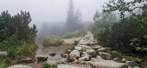 Stone trail leads through foggy, wooded landscape with water, Zakopane, hiking to Kasprowy Wierch