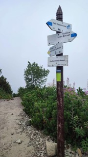 Signed hiking trail, signpost through wooded mountain landscape in fog, Zakopane, hiking in the
