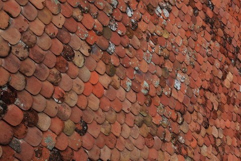 Old roof covering, beaver tail-shaped tiles, partly already weathered or with growth of lichens and