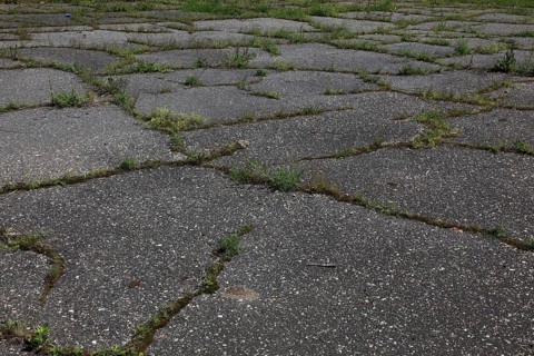 Cracked asphalt surface, moss and grass are now growing out of the cracks, frost damage
