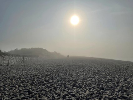Fog on the beach in the Western Pomerania Lagoon Area National Park, Darss-Zingster Boddenkette,
