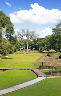 Quirigua Archaeological Park, pre-Columbian Mayan city in the jungle or jungle, Izabal Department,