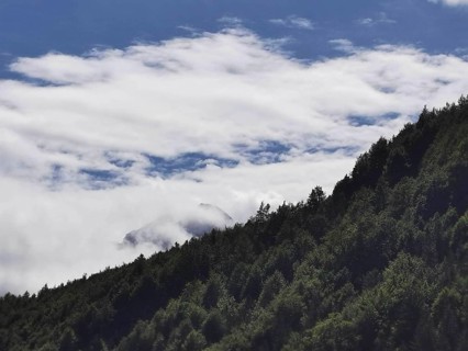 Dense forest, partly covered by foggy clouds, with a view of the blue sky, Peaks of the Balkans,