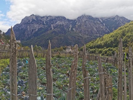 Small vegetable garden surrounded by fences, with mountain views and thick clouds, Peaks of the