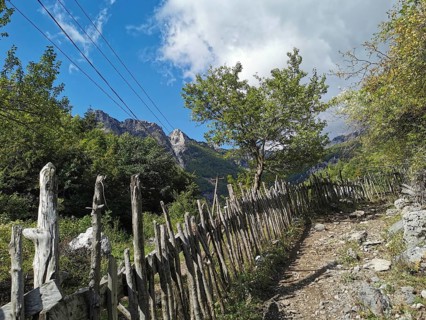 Rustic wooden fence along a trail through wooded area with mountain scenery, Peaks of the Balkans,