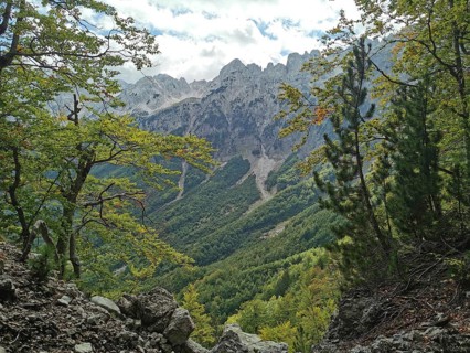 View through trees of wooded slopes and rugged mountains on a sunny day, Peaks of the Balkans,