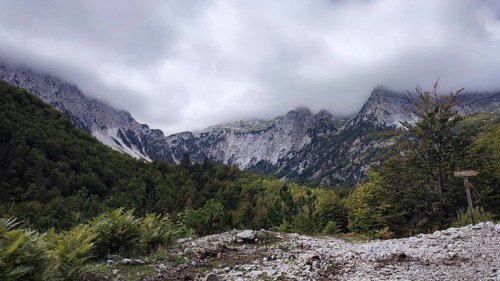 Mountain landscape with fog sweeping over rocky peaks surrounded by thick forest, Peaks of the