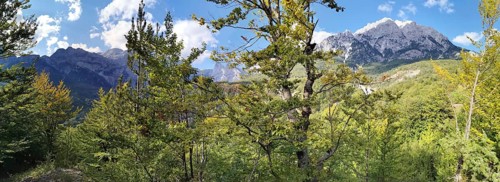 Panoramic view of wooded mountains under a clear blue sky, lush vegetation in the foreground, peaks
