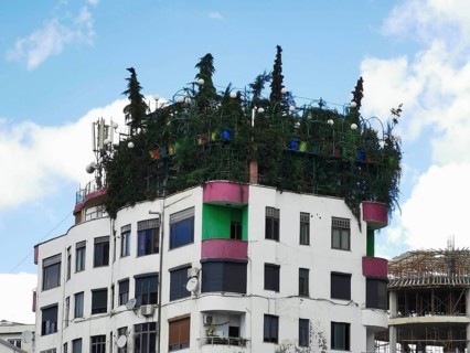 Modern building with green roof garden and colorful building elements, jungle on the roof, urban