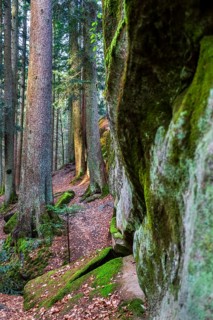 Winter atmosphere in the Hägeles- und Brunnenklinge nature reserve in the Swabian-Franconian