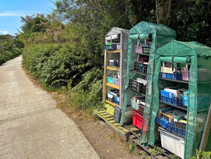 Three greenhouses full of books stand along a sunlit woodland trail, St Agnes, Isles of Scilly,