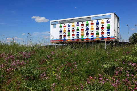 Honey production, beehive, mobile apiary in the Transylvanian countryside, Romania