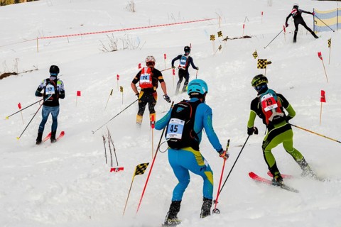 Athletes downhill at the Jennerstier, Skimo, Jenner, Schönau am Königssee, Berchtesgadener Land,