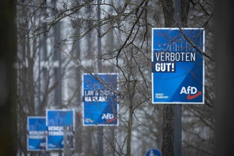 Numerous AfD election posters hang one behind the other on several lamp posts in the northwest of