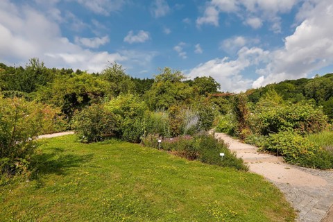 Path, lawn, various plants, flower bed, sky, clouds, Ulm University Botanical Garden,