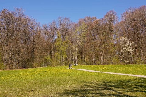 Walkers on path, meadow, bare trees, spring, Ulm University Botanical Garden, Baden-Württemberg,