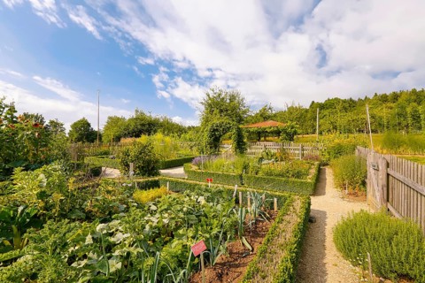 Cottage garden, outdoor area, wooden fence, various crops, flower bed, path, Ulm University