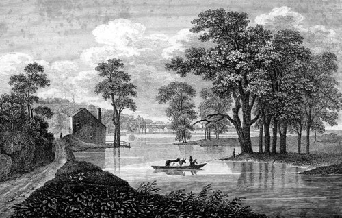 Idyllic river landscape near Albany, New York, USA, Hudson River, rowing boat, animal transport,