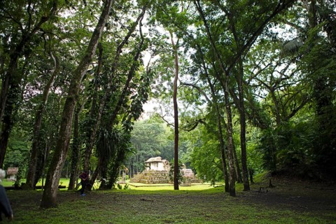 Seibal or El Ceibal Archaeological Site, Mayan Ruined City in the Rainforest or Jungle, Lowlands,